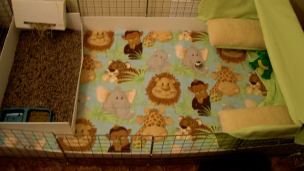No sew guinea pig cage liner online