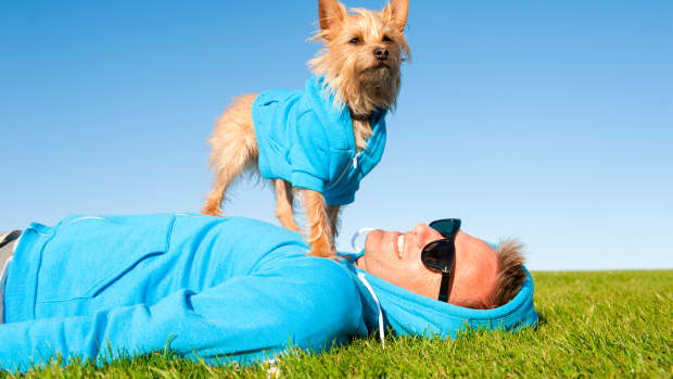 Target dog outfits online