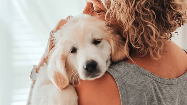 Dog and woman on sale funny video