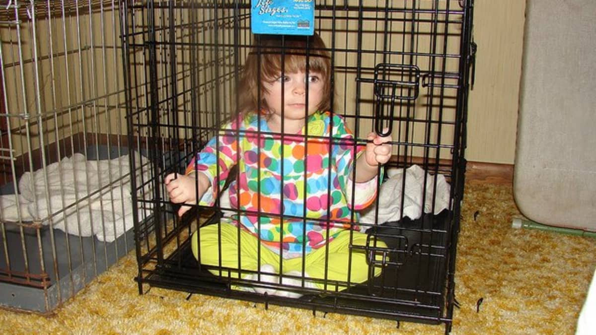 Why Confining a Dog to a Crate Is Wrong PetHelpful