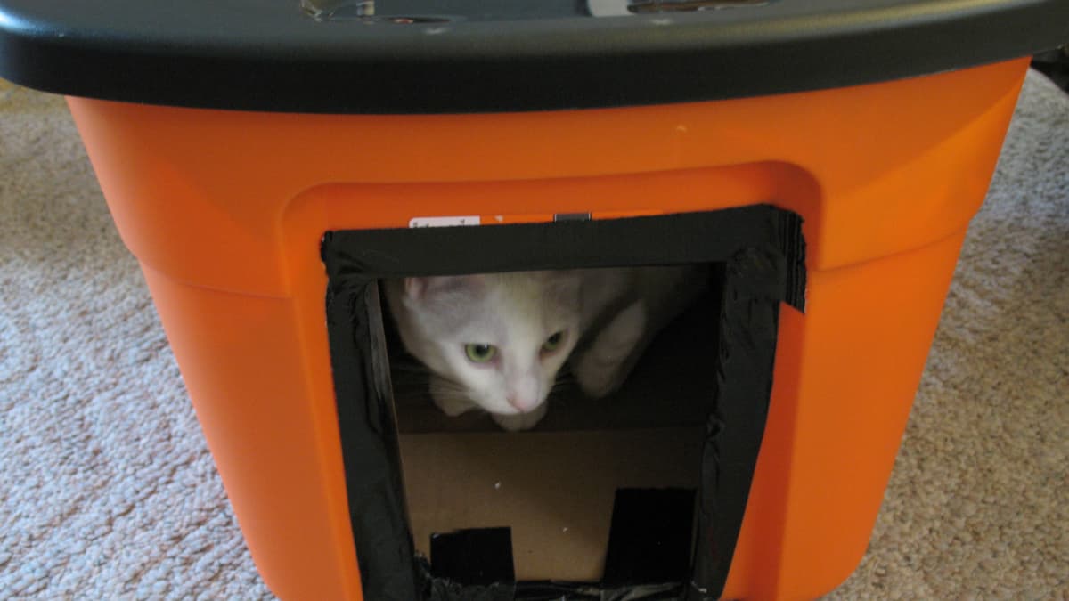 Plastic cat houses clearance