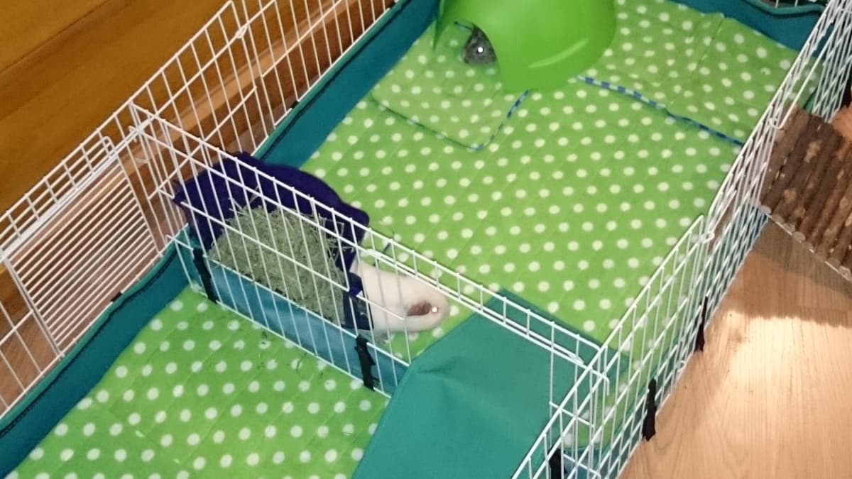 How to Make Guinea Pig Cage Liners DIY Fleece Bedding PetHelpful