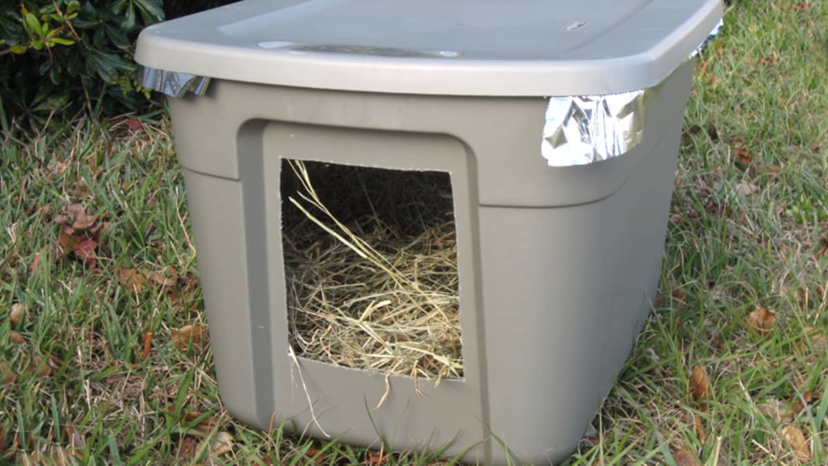 Stray cat shelter box sale