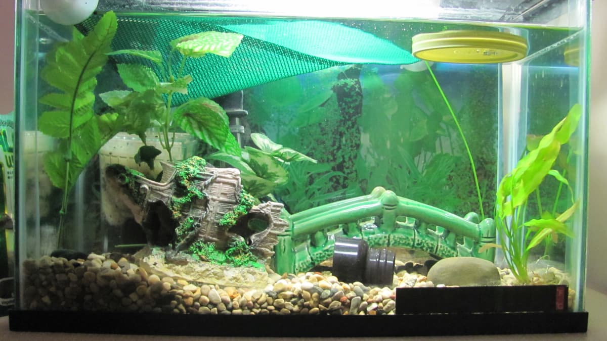 Cheap aquarium decorations best sale