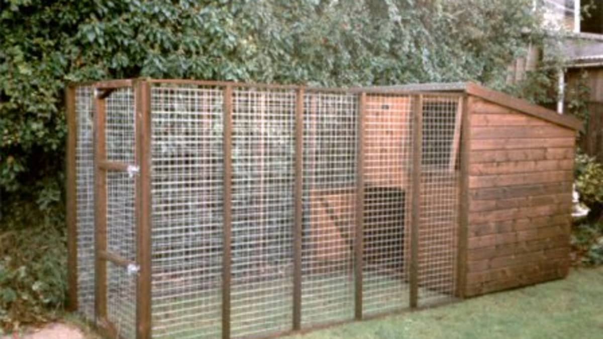 How to Choose the Right Size Dog Kennel and Run PetHelpful