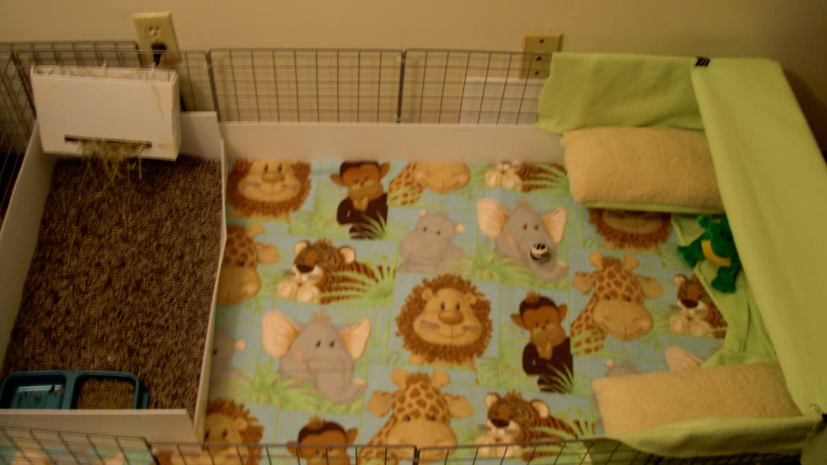 Pretty guinea pig cages sale