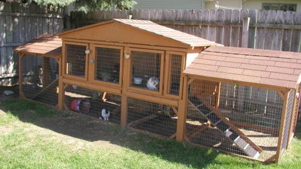 How to Build the Perfect Bunny Hutch PetHelpful