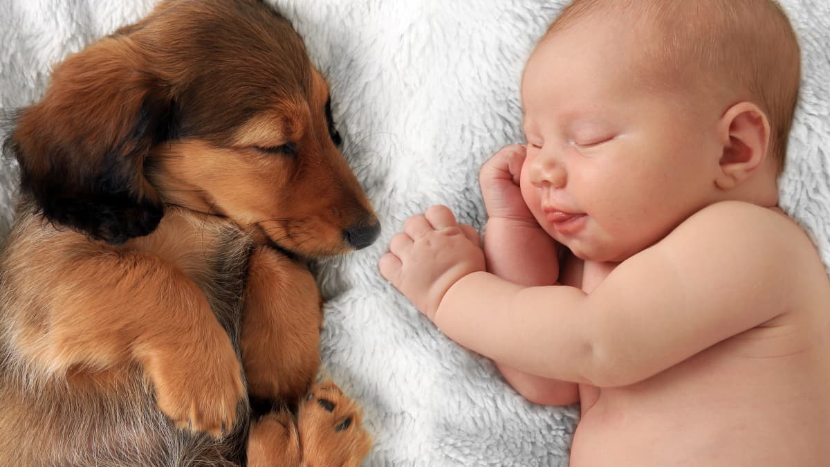 Puppy baby grow outlet