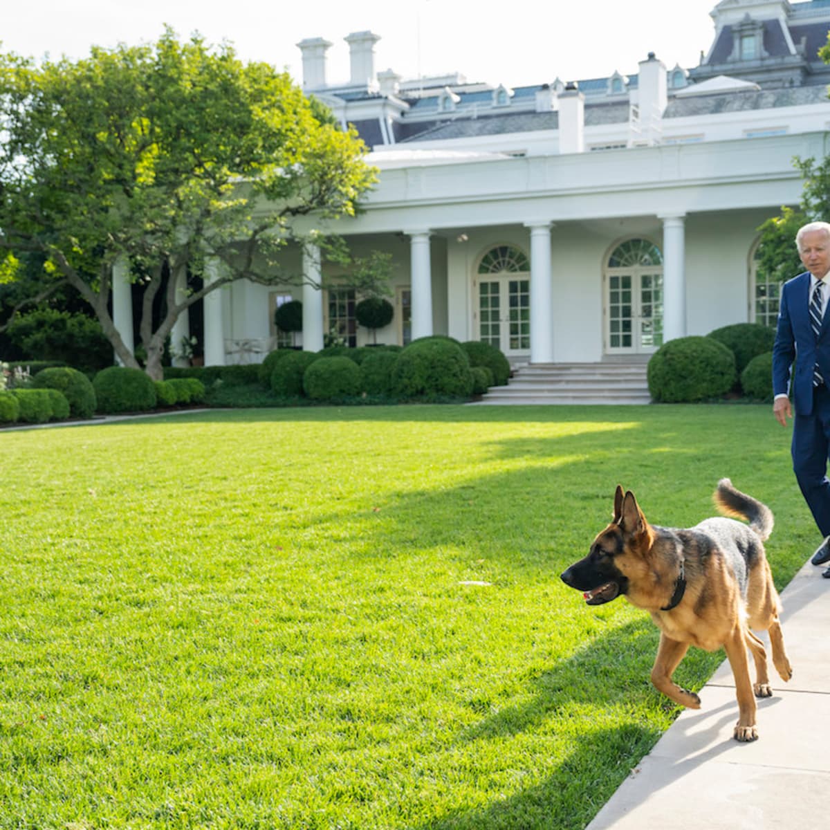 Commander Biden bites another Secret Service employee at the White