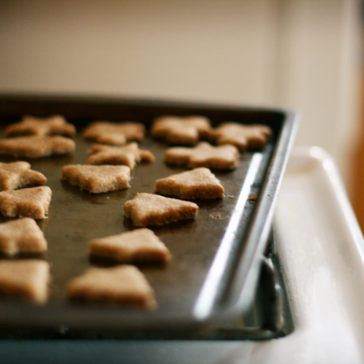 10 Easy Wheat Free Dog Treat Recipes PetHelpful