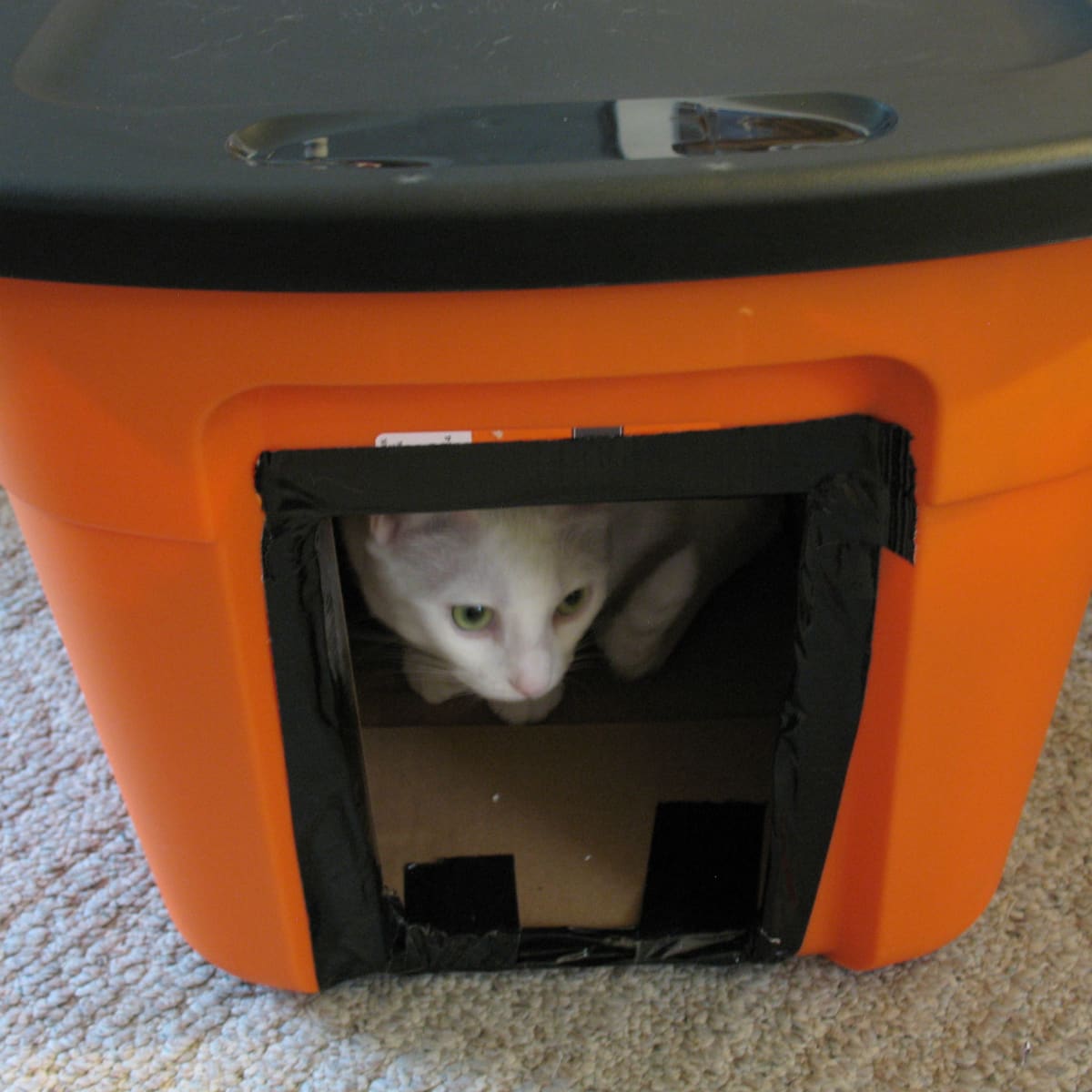 DIY Winter House for Stray Cats PetHelpful