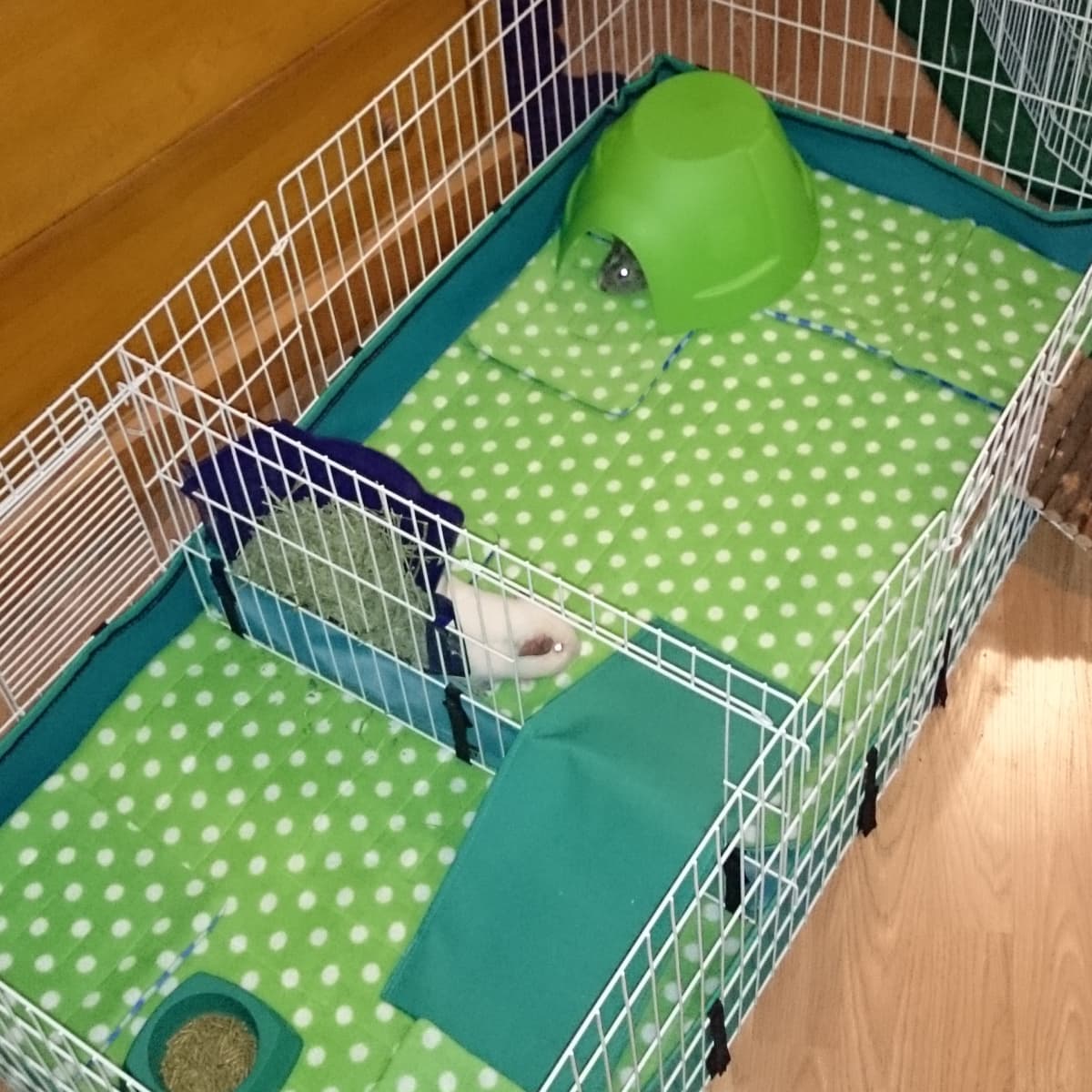 How to Make Guinea Pig Cage Liners DIY Fleece Bedding PetHelpful