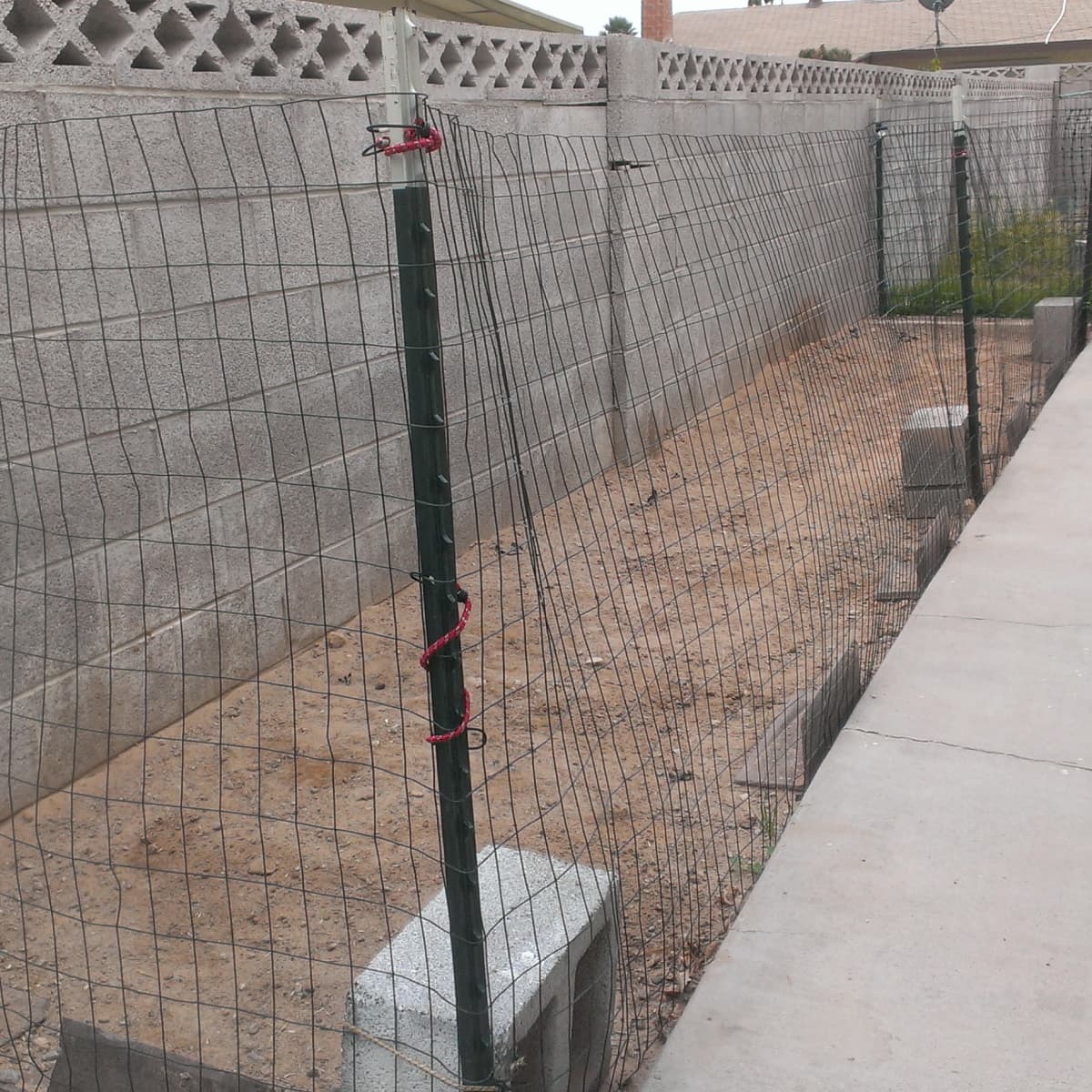 How to Build and Maintain an Inexpensive Dog Run PetHelpful