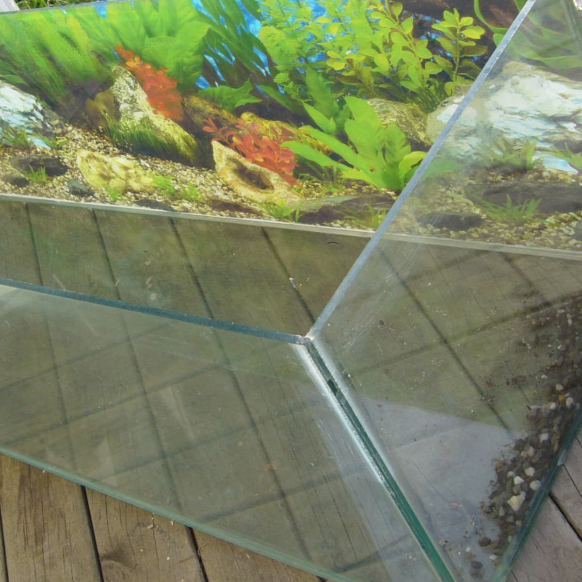 How to Safely Clean a Used Fish Tank PetHelpful