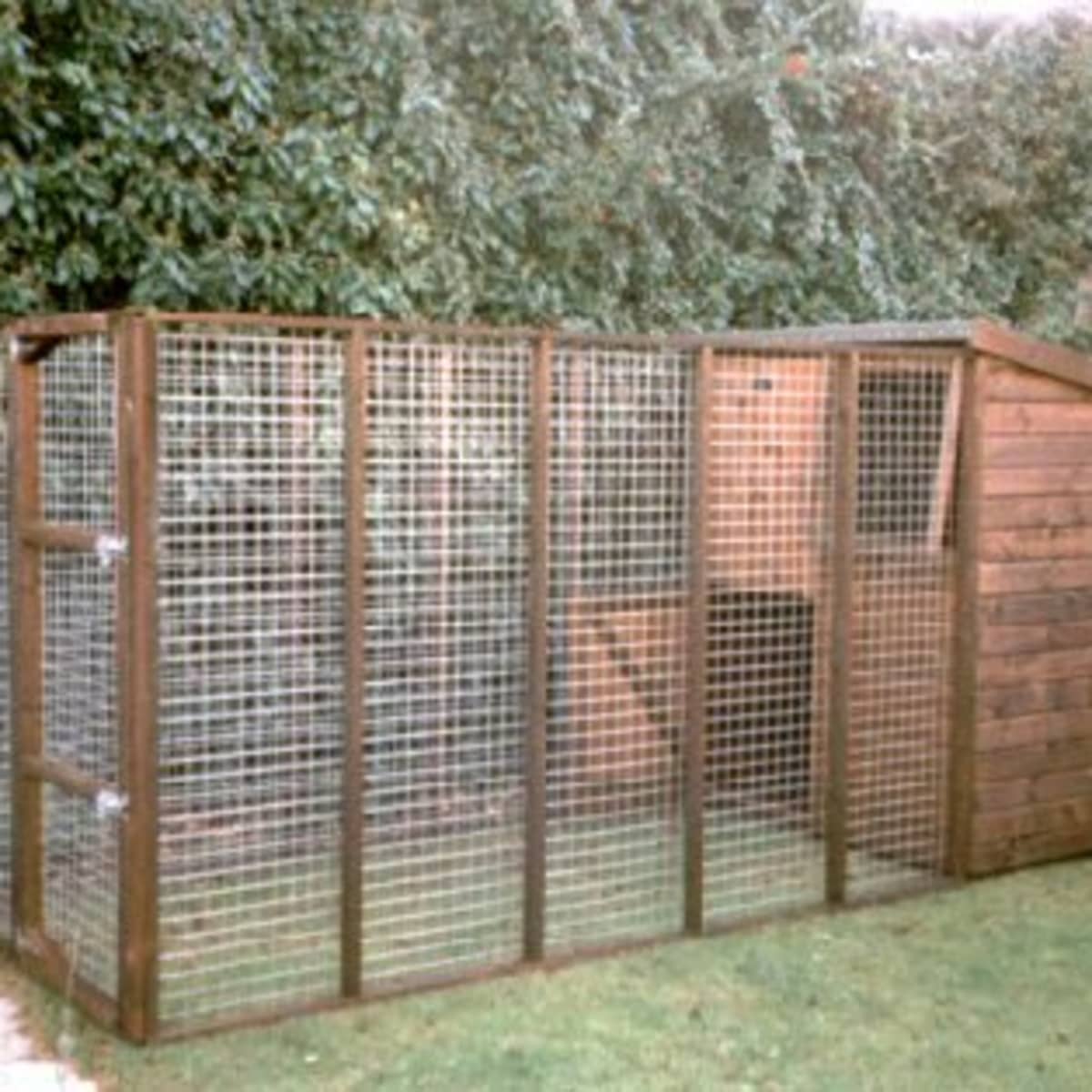 How to Choose the Right Size Dog Kennel and Run PetHelpful