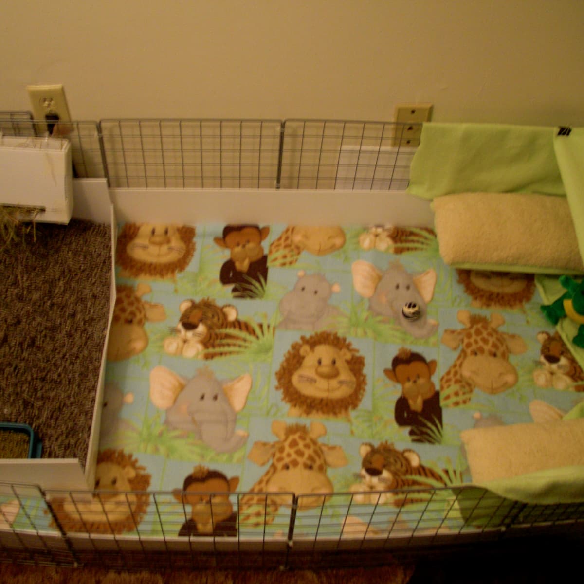Unique guinea pig cages discount