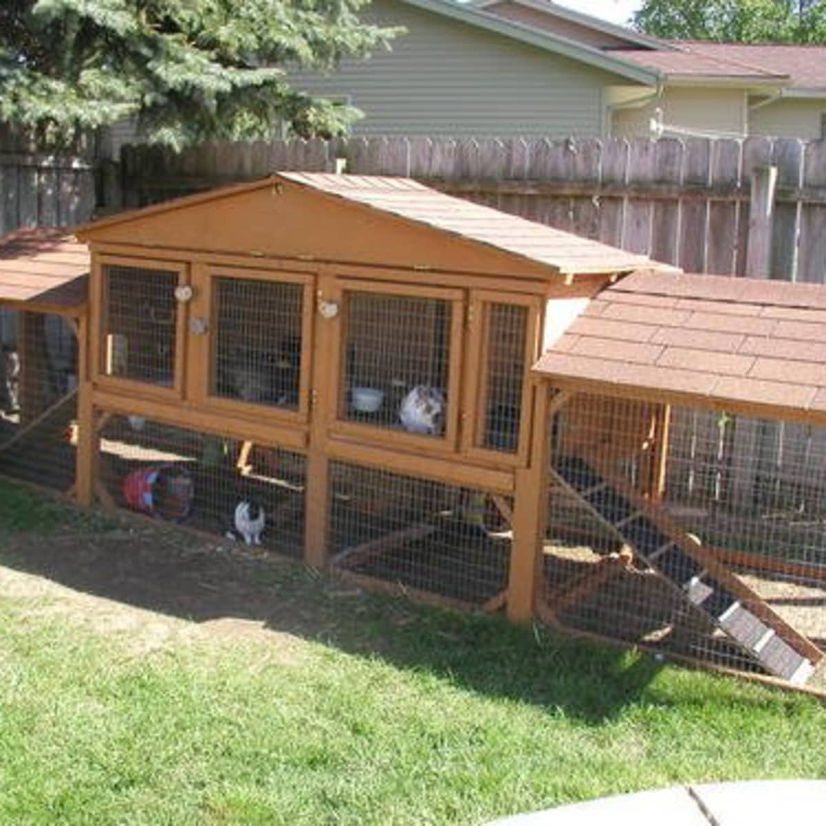 How to Build the Perfect Bunny Hutch PetHelpful