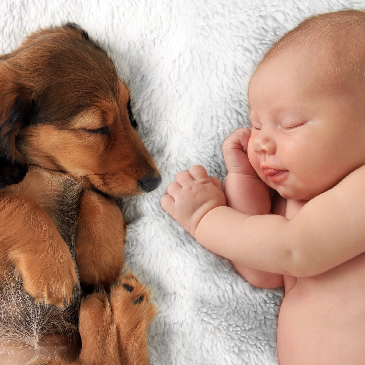 Mom s Video of Baby and Puppy Growing Up Together Is Giving People