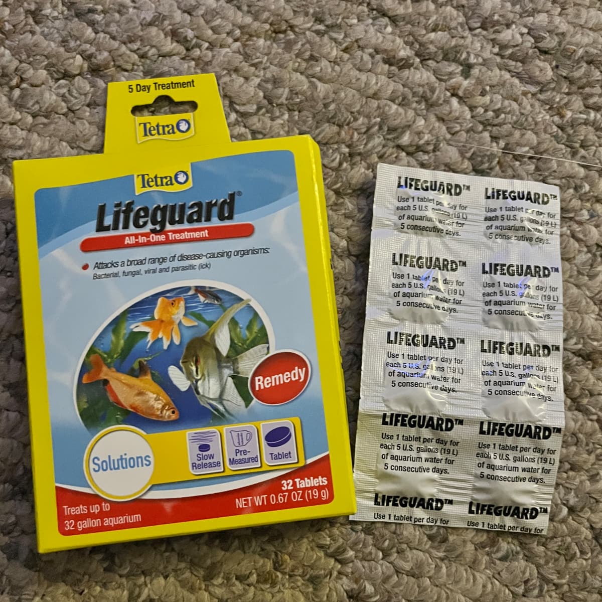 Sick betta fish care cheap