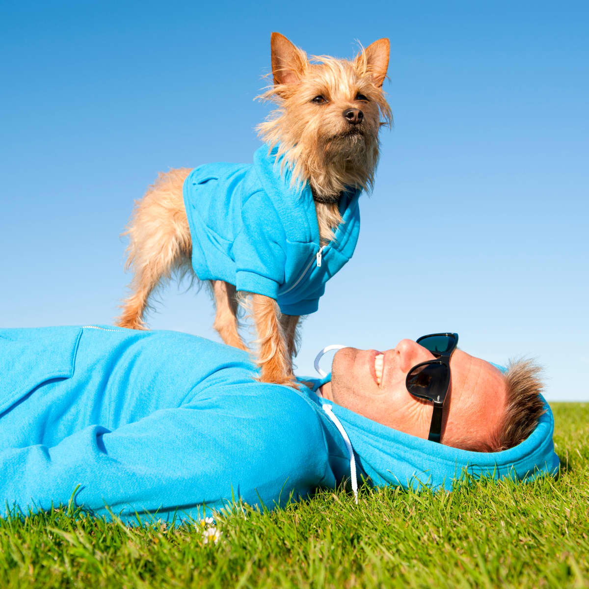 Target pet clothes store