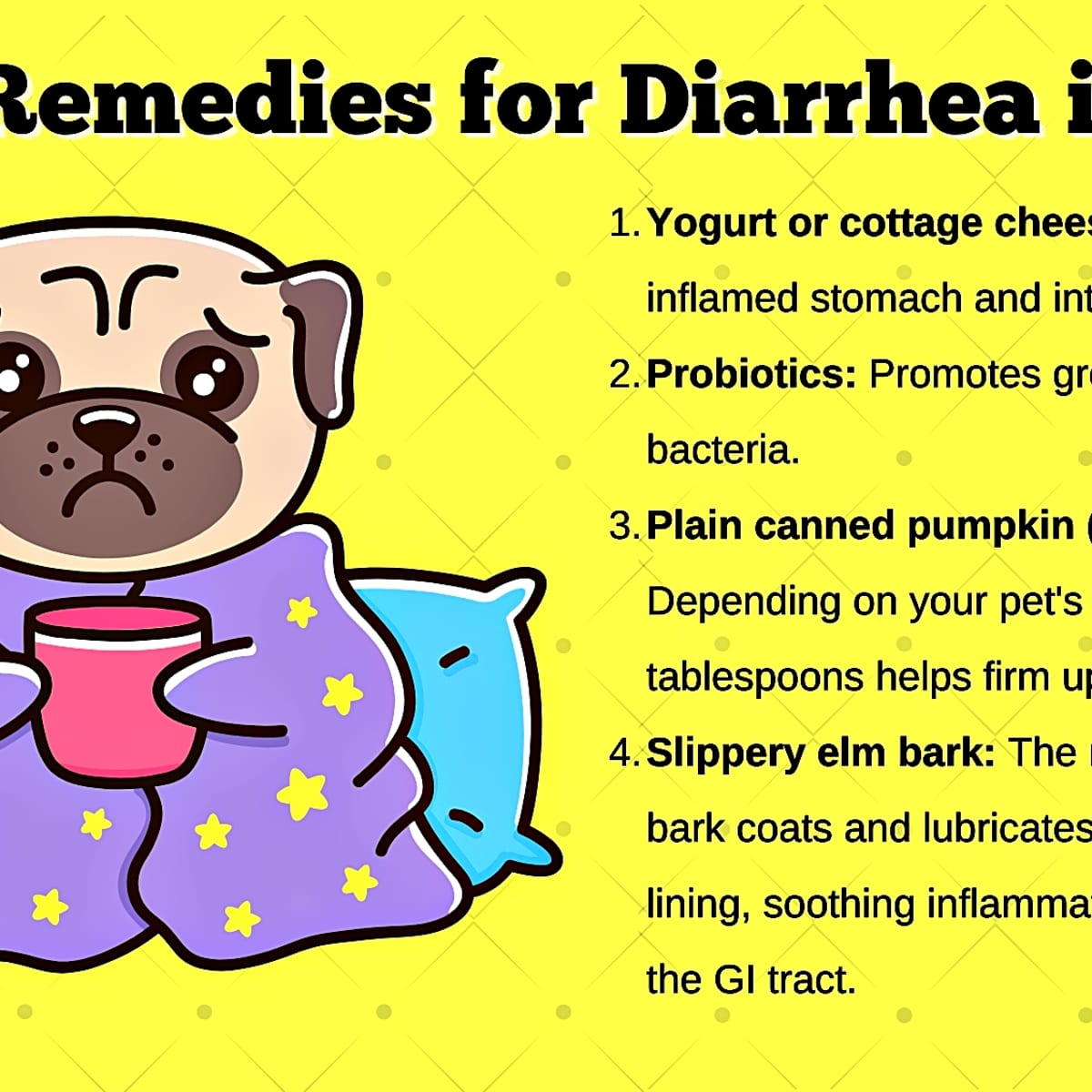 Vet Approved Home Remedies for Upset Stomachs in Dogs PetHelpful