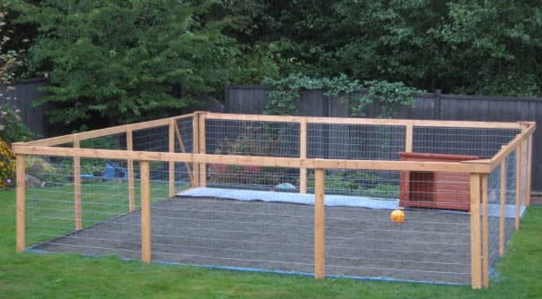 Backyard dog enclosures online