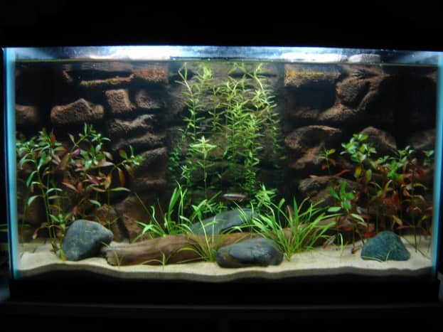 Cheap 3d aquarium backgrounds cheap