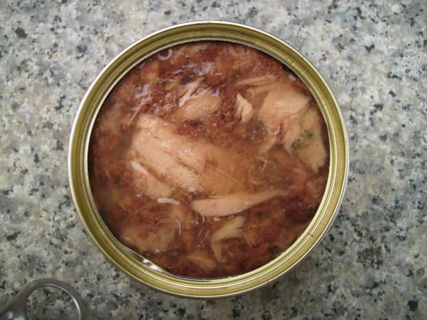 What Is the Best Kitten Food for Diarrhea PetHelpful