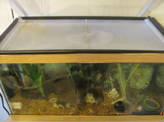 Plastic aquarium tank clearance