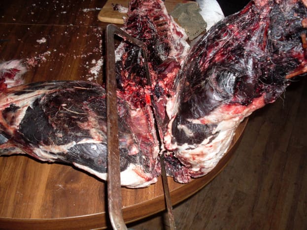 How to Cut up a Deer for Dog Food An Illustrated Guide PetHelpful