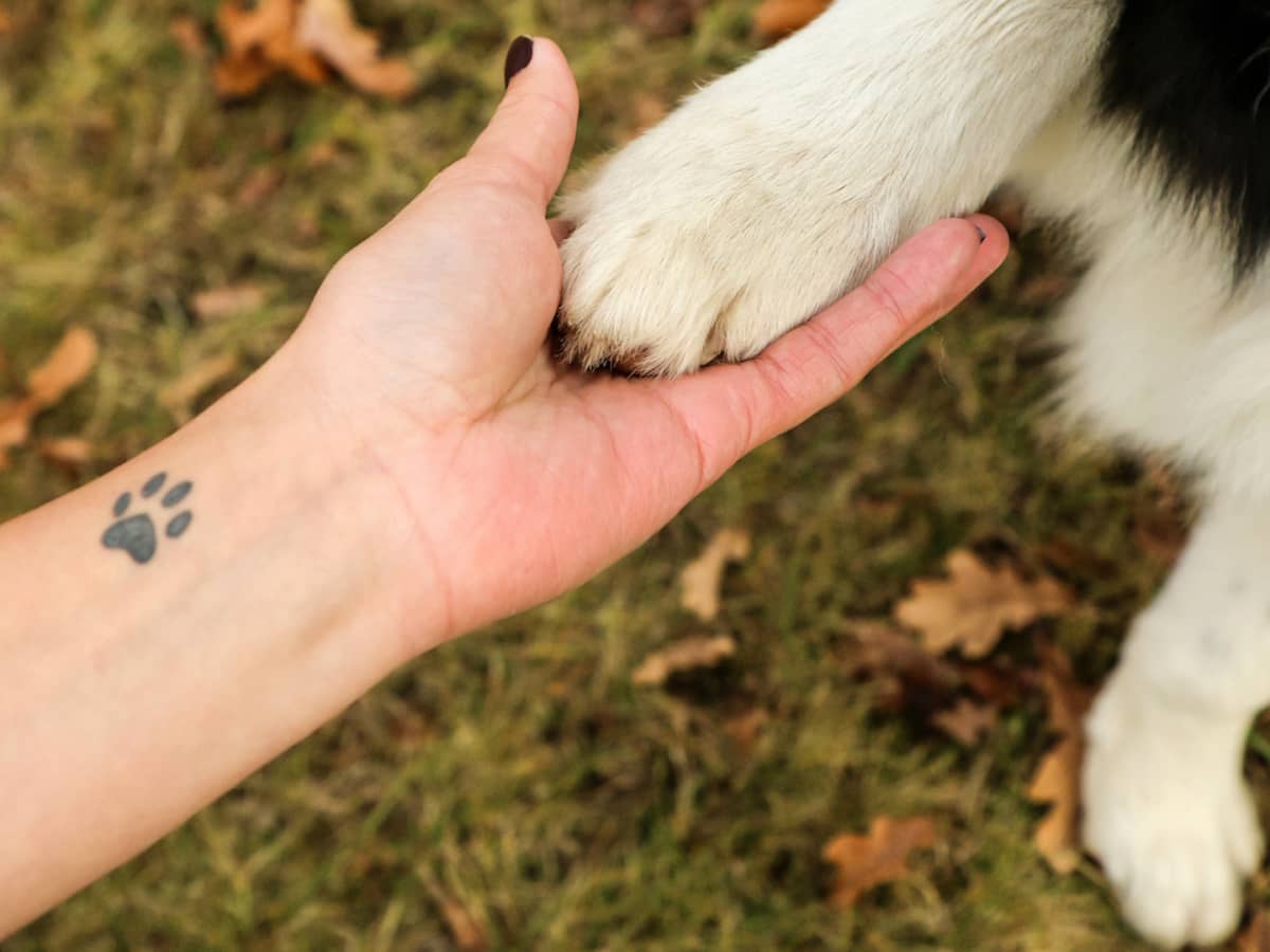 classic paw dog tattoo by RemiisMeltingDots on DeviantArt