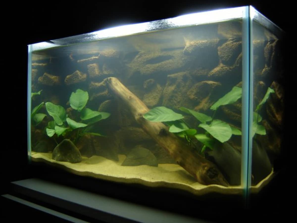 Pets at home aquarium sand top