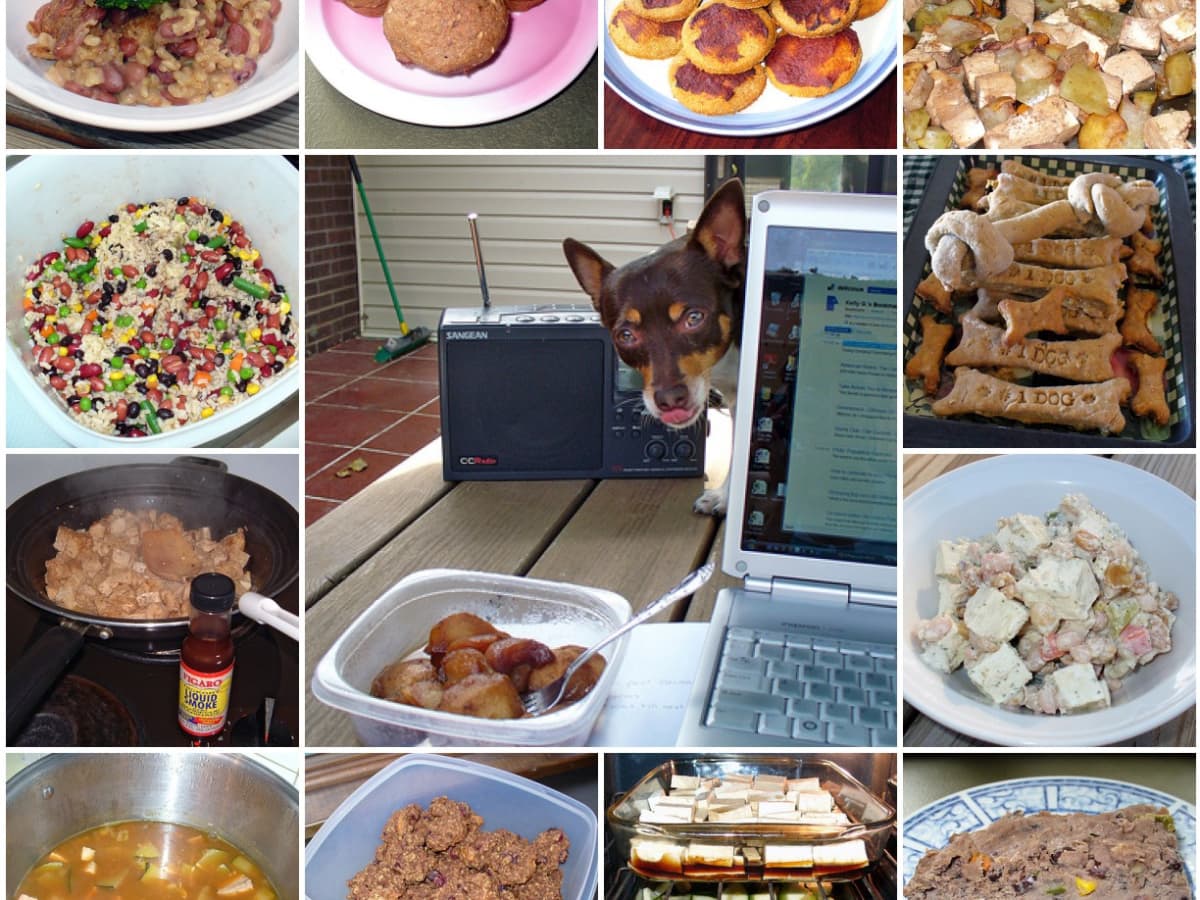 Nutritious dog food recipes top