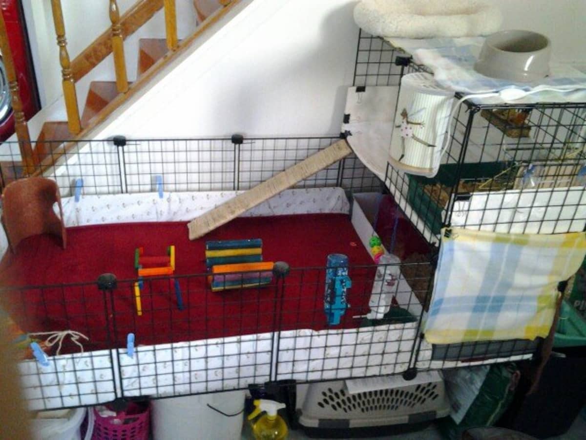 Wire cube guinea pig cage best sale