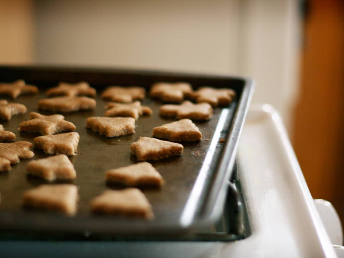 10 Easy Wheat Free Dog Treat Recipes PetHelpful