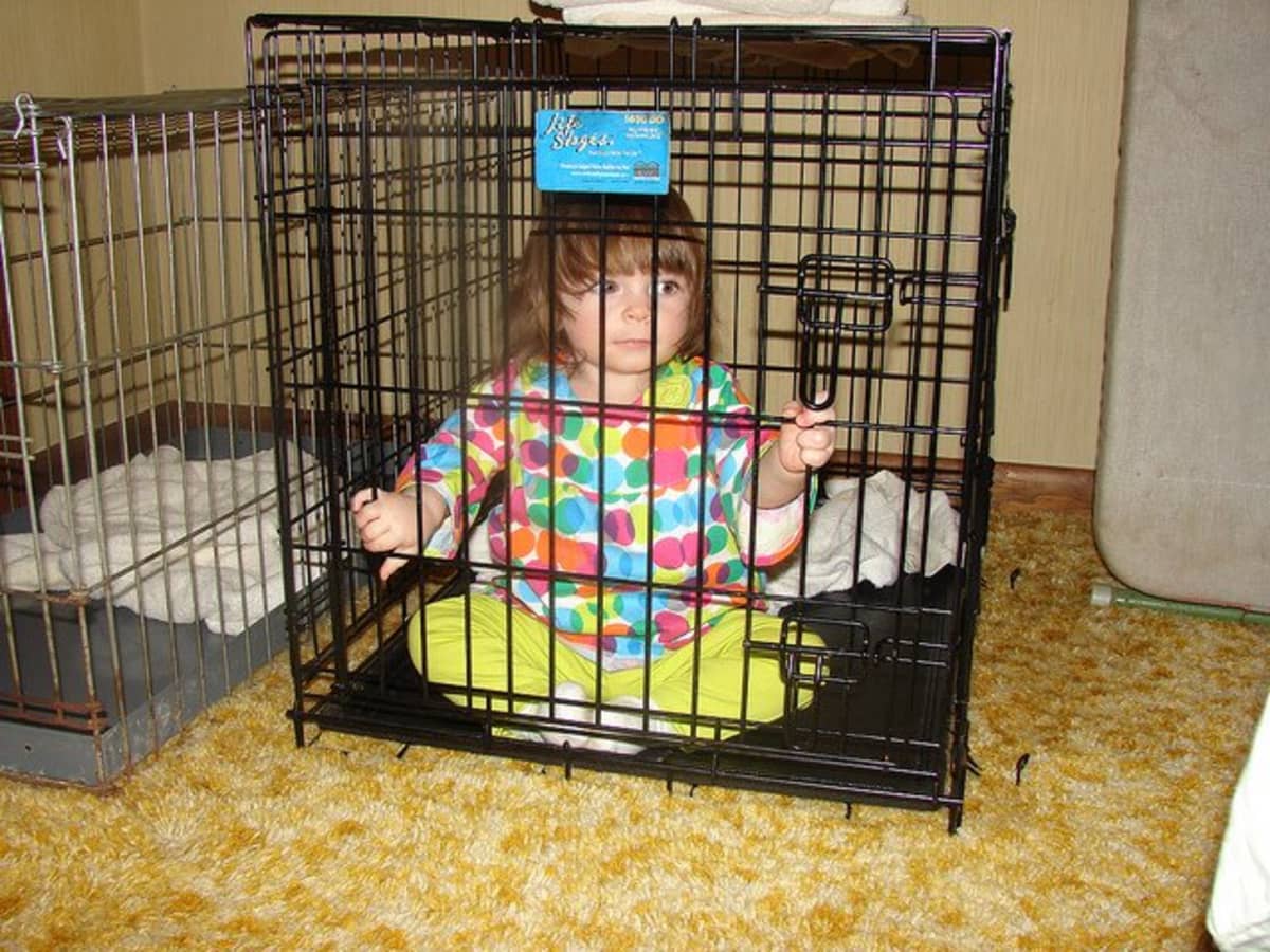 Why Confining a Dog to a Crate Is Wrong PetHelpful