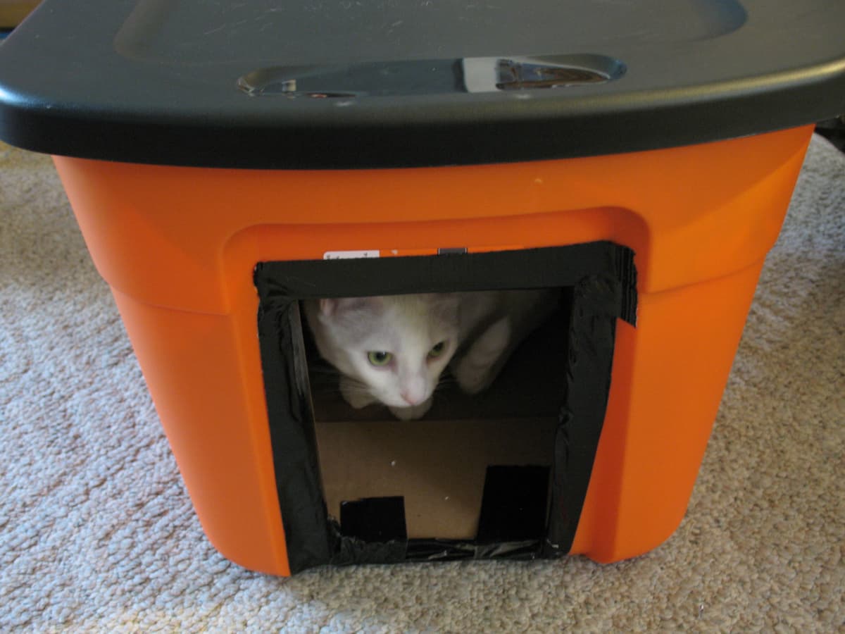 DIY Winter House for Stray Cats PetHelpful