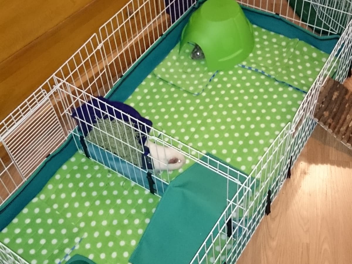 Washable fleece guinea pig bedding sales