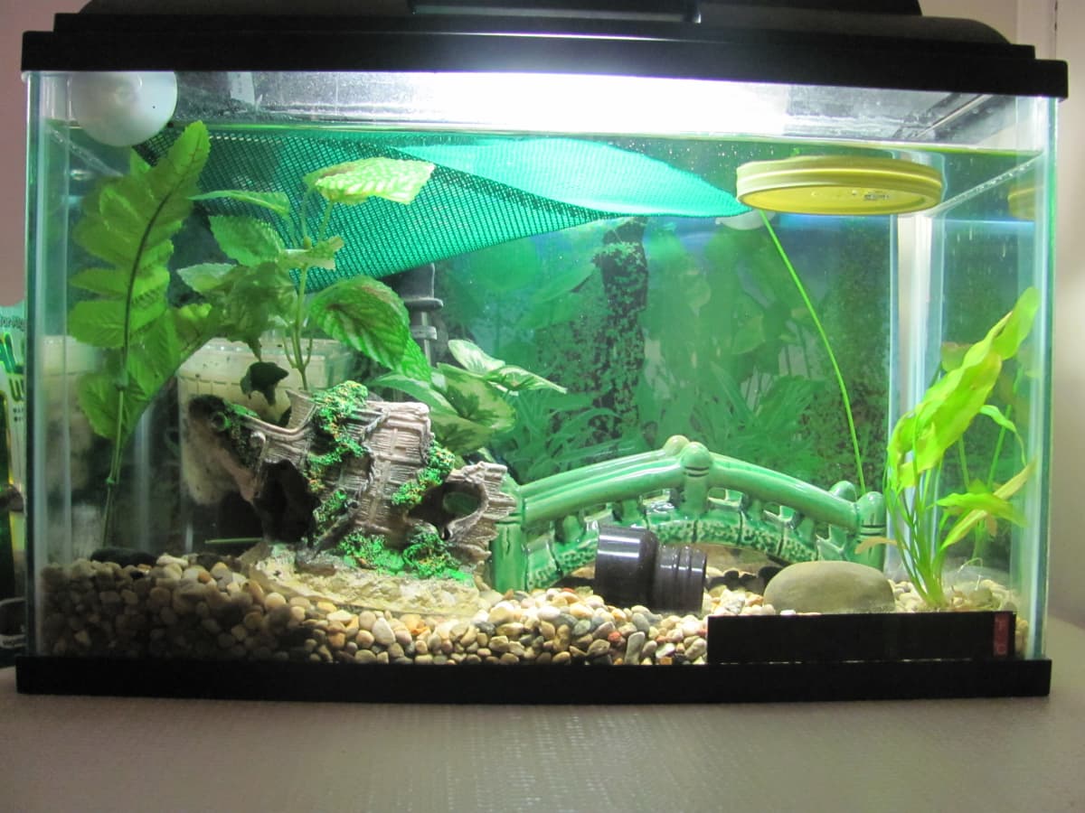 Cheap aquarium gravel cheap