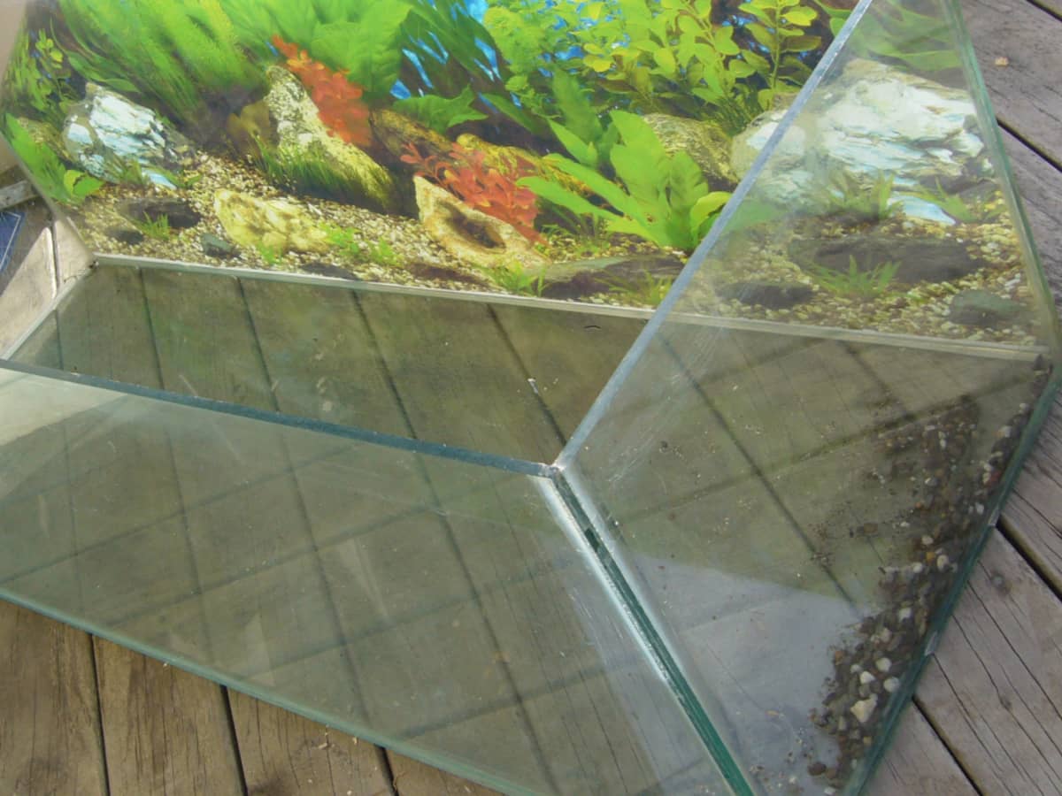 Used fish tanks top