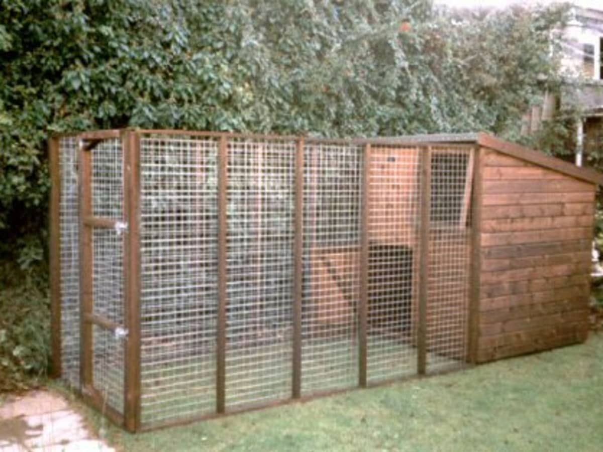 How to Choose the Right Size Dog Kennel and Run PetHelpful