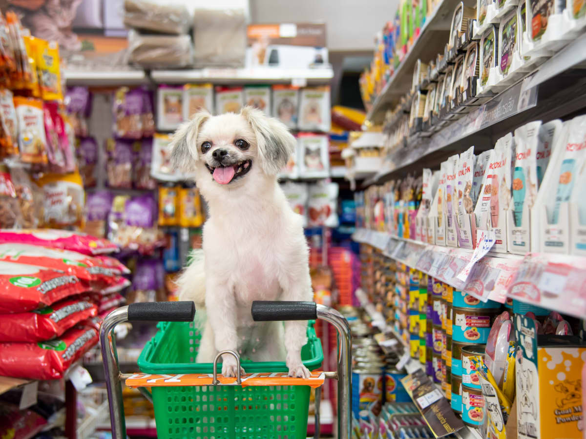 List of Stores That Allow Dogs Is a Holiday Shopper s Dream