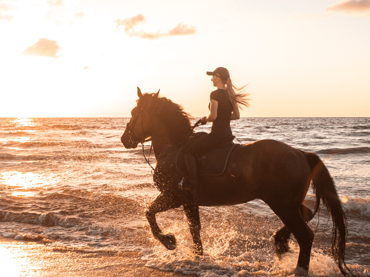 All deals Four Off - Horse and rider gallop through Pacific surf