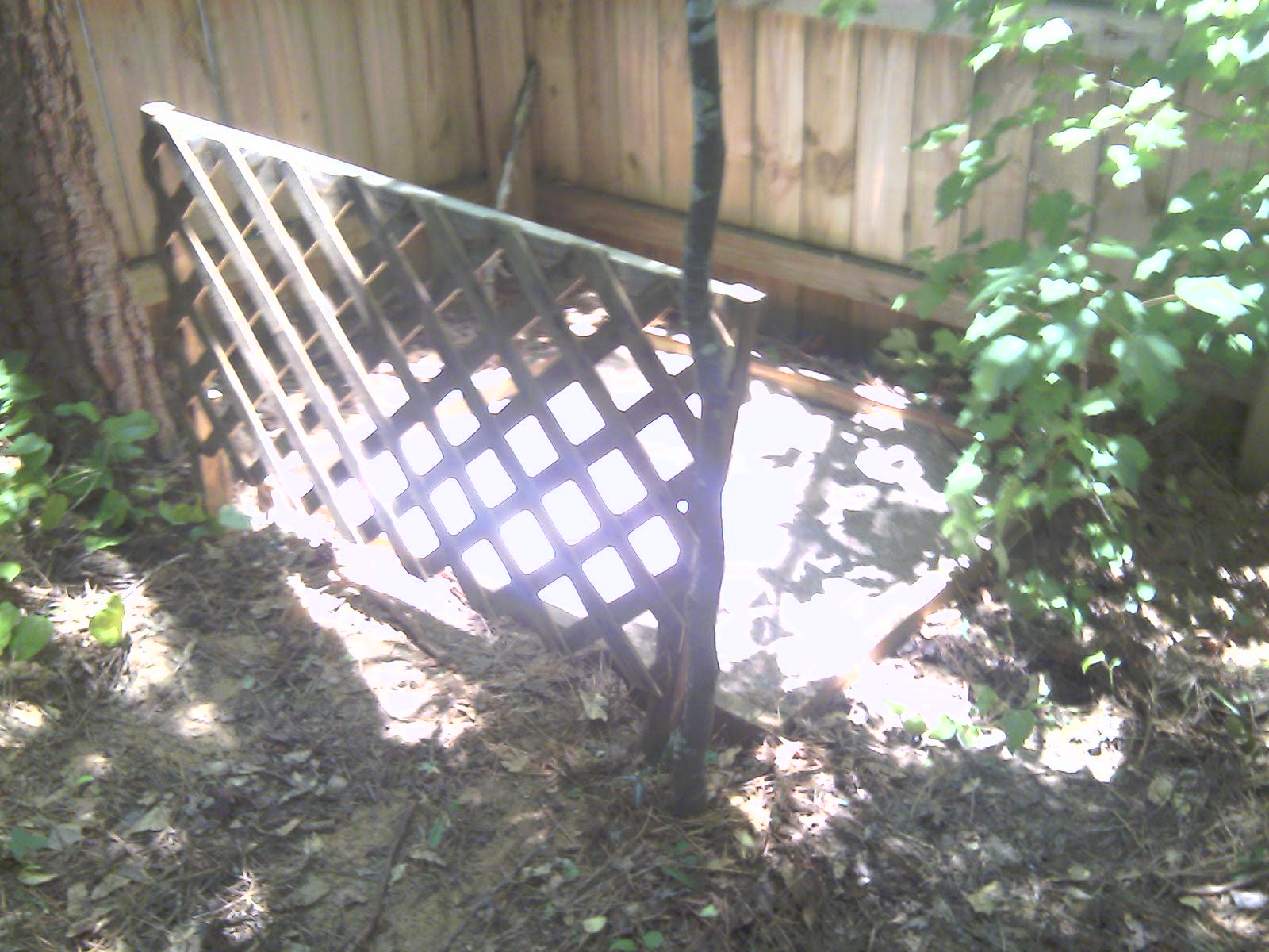 How to Build an Outdoor Cat Litter Box