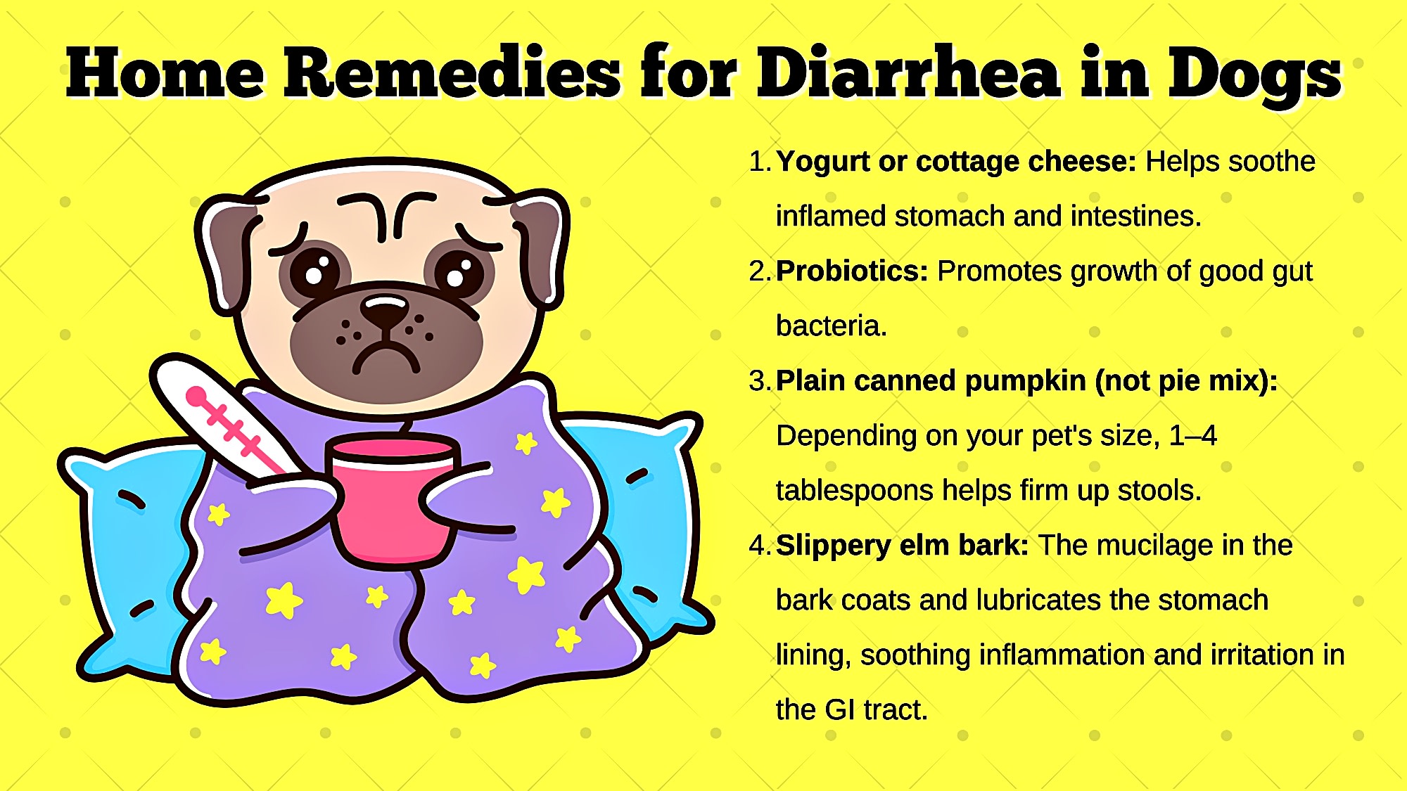 medicine to stop dog diarrhea