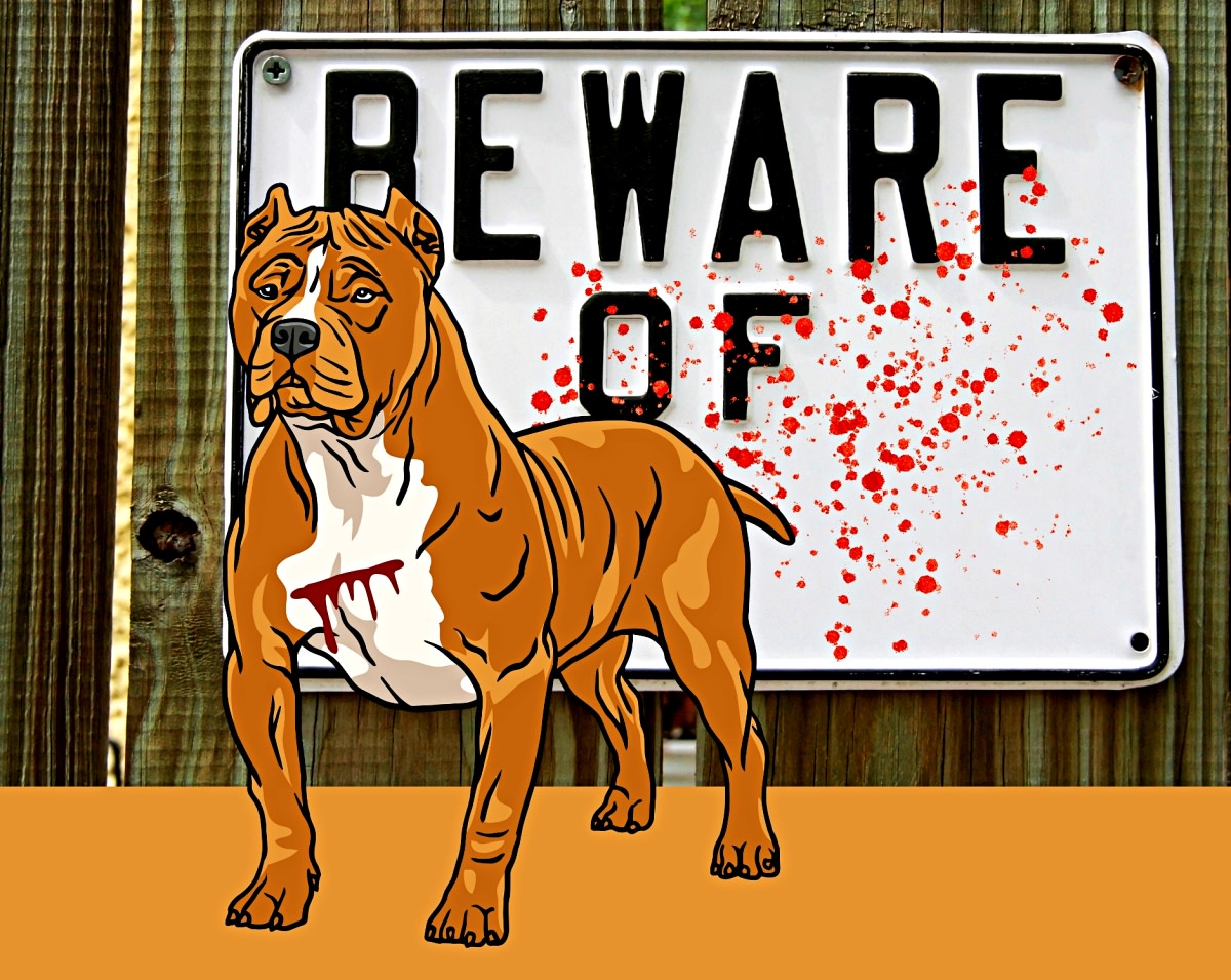 மாடுகள் சுற்றித்திரிந்தால் அபராதம் https://t.co/WciCN2SQmv | #Chennai |  #RadhaKrishnan | #GreaterChennaiCorporation | #cow | #News7Tamil |  #News7TamilUpdates, image size:1200x955