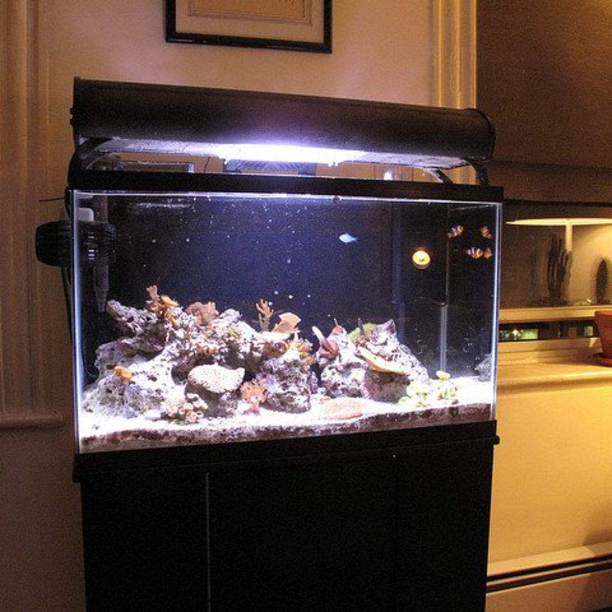 Enhancing Visual Appeal and Focus