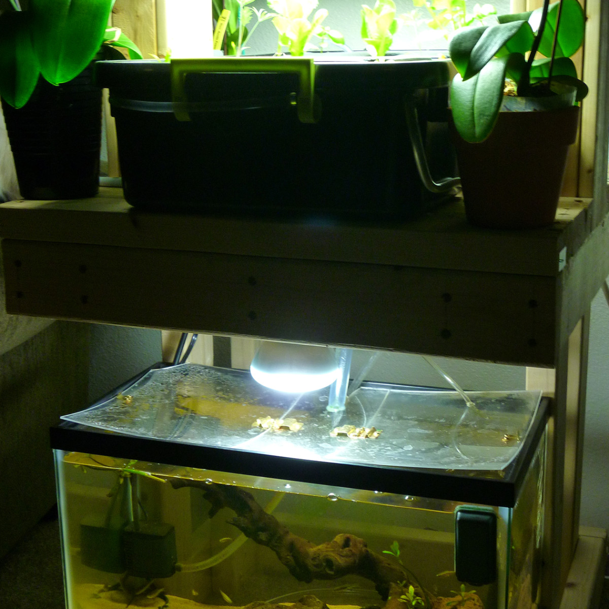 Aquaponics Setup: How to Build a Functioning System - PetHelpful, image size:1200x1200