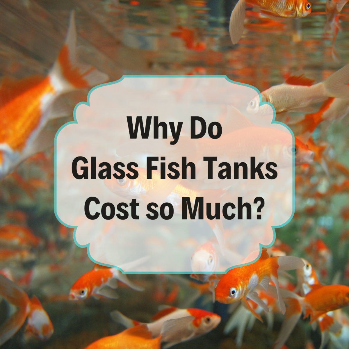 Maintenance checklist to protect your investment