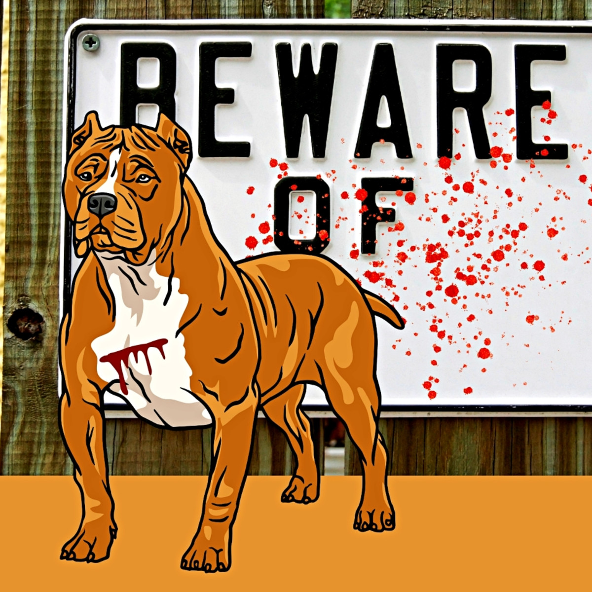 funny-indian-gangster-names-infoupdate